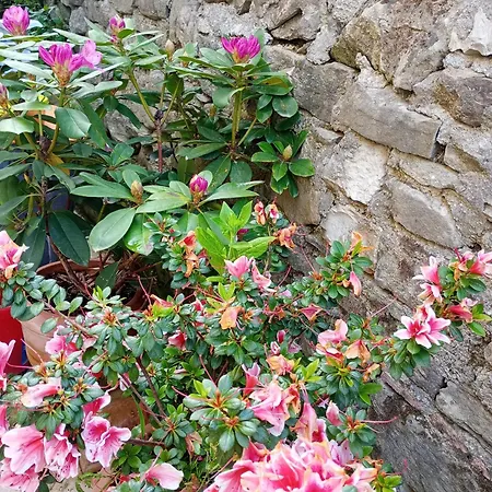 Casa Verdelago Appartamento Barberino di Mugello